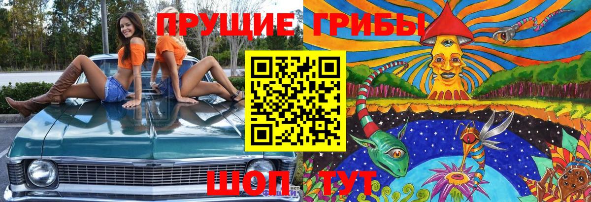 Галлюциногенные грибы Psilocybine cubensis Татарск