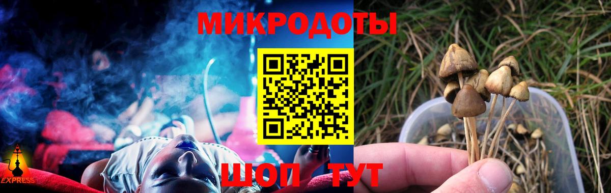Татарск  Псилоцибиновые грибы Psilocybe  что такое наркотик  Вход с VPN 